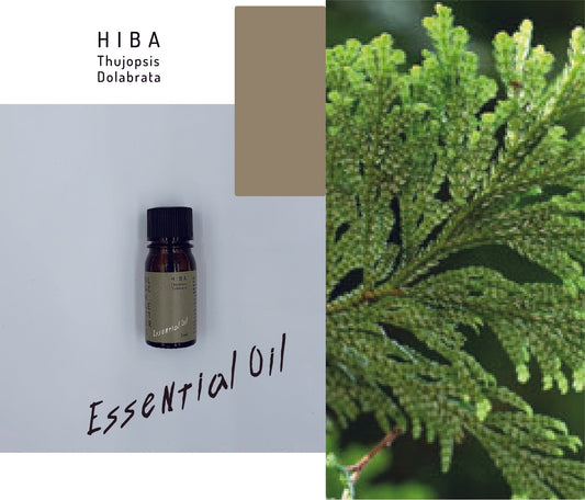 エッセンシャルオイル  ヒバ 5ml