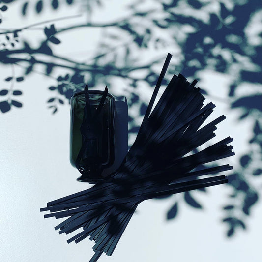 リードスティック 50本