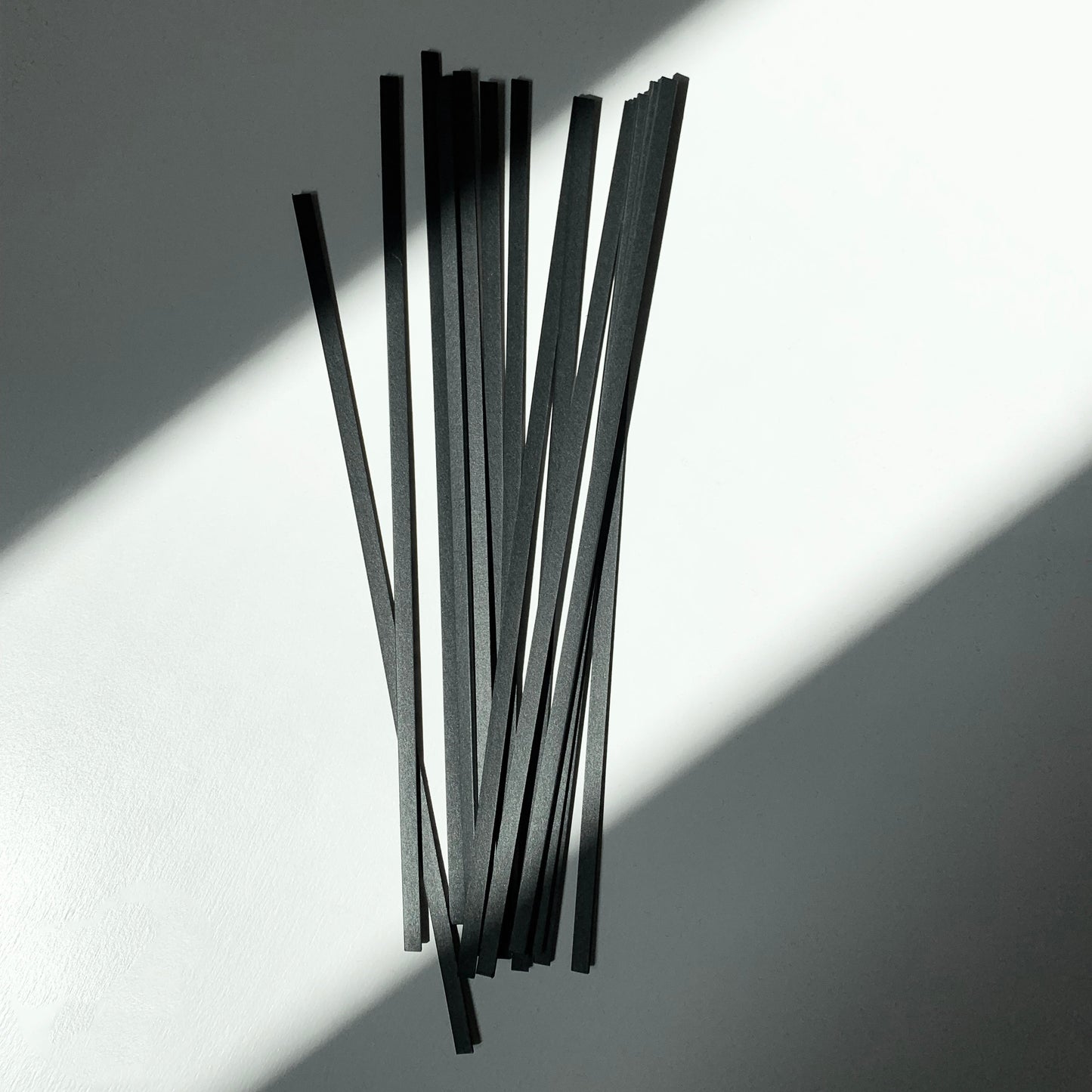 リードスティック 10本