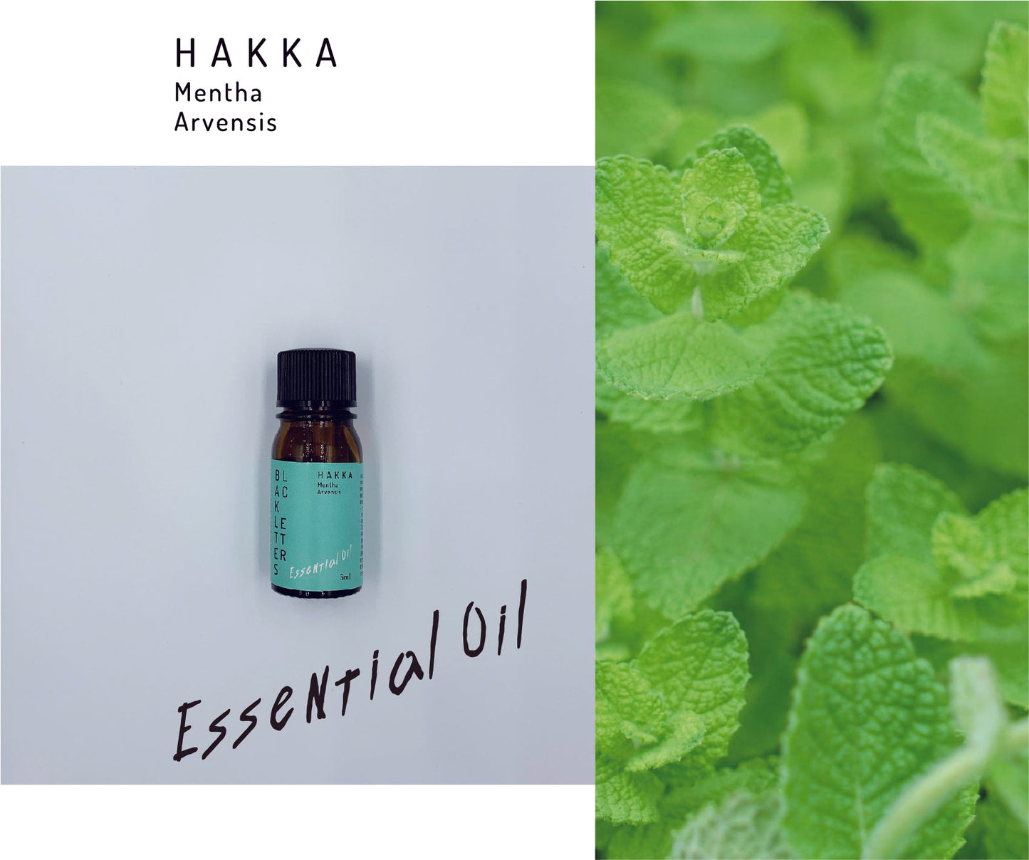エッセンシャルオイル ハッカ 5ml