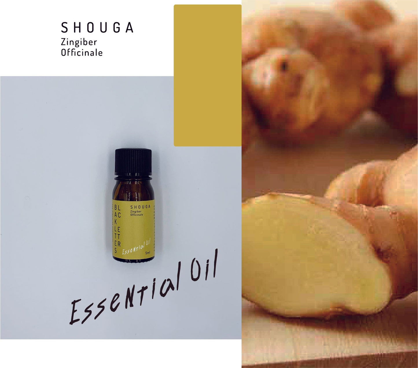 エッセンシャルオイル  ショウガ 5ml