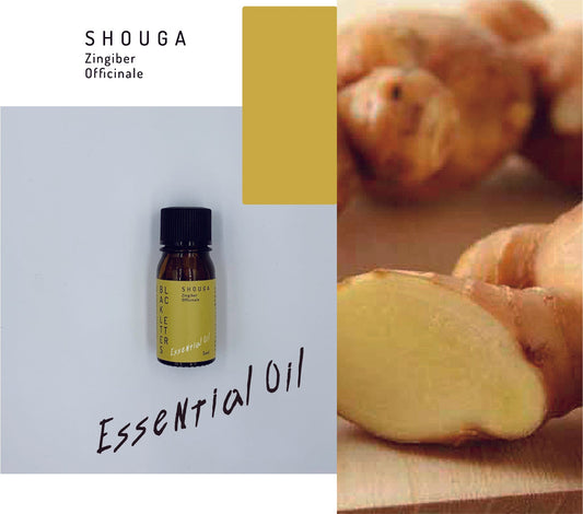 エッセンシャルオイル  ショウガ 5ml