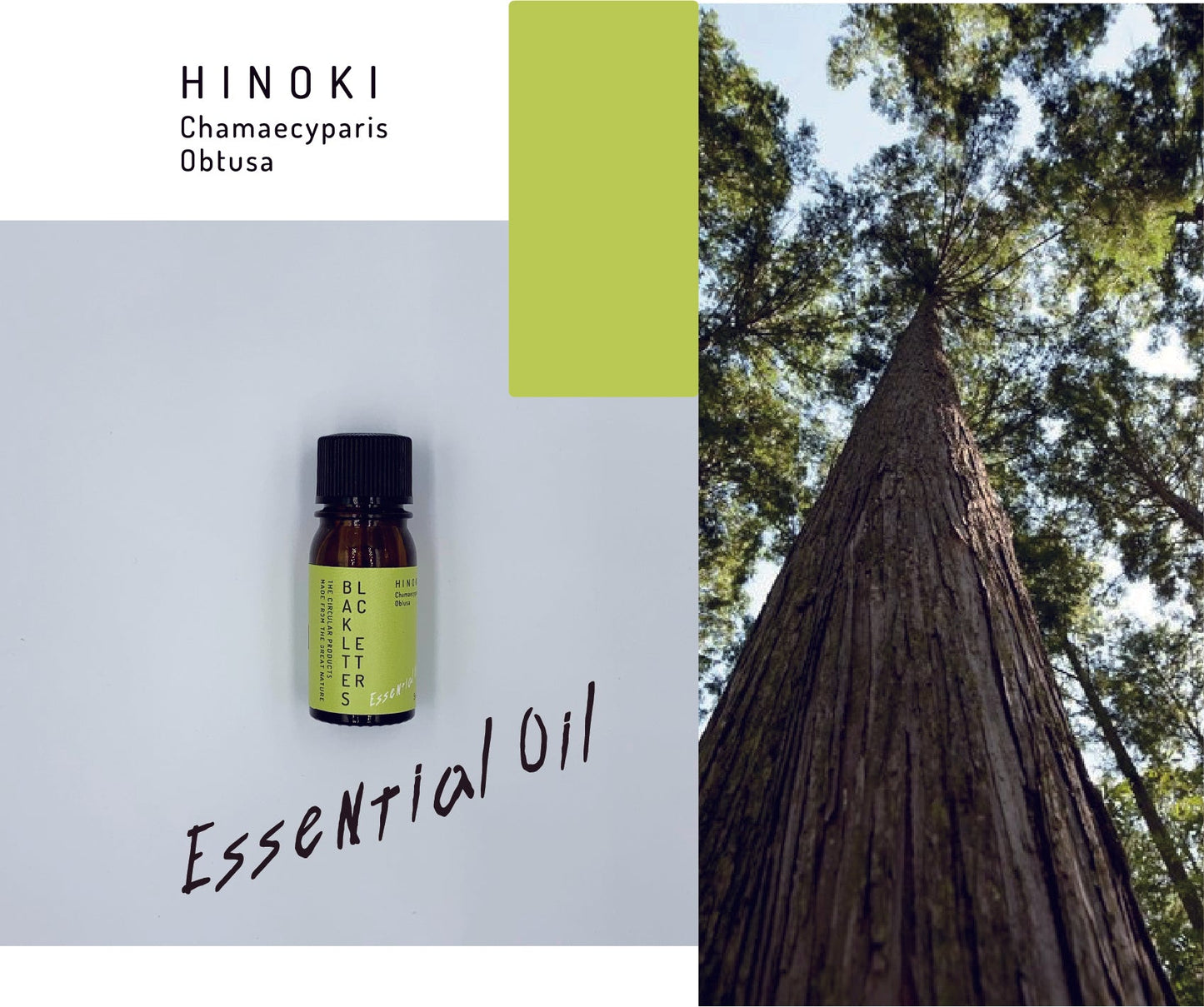 エッセンシャルオイル ヒノキ 5ml