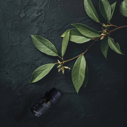 エッセンシャルオイル　クロモジ　３ml