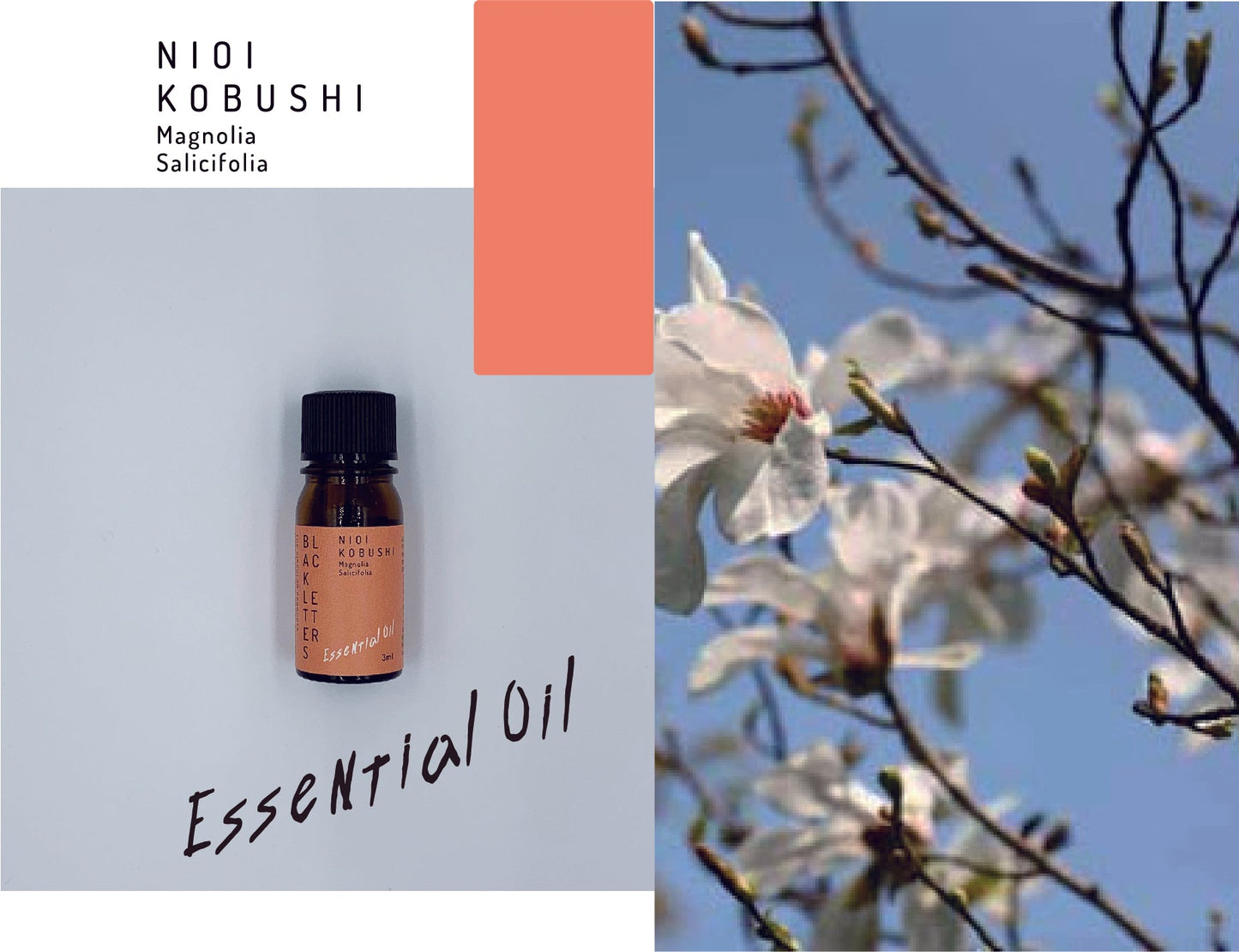 エッセンシャルオイル　 ニオイコブシ 3ml