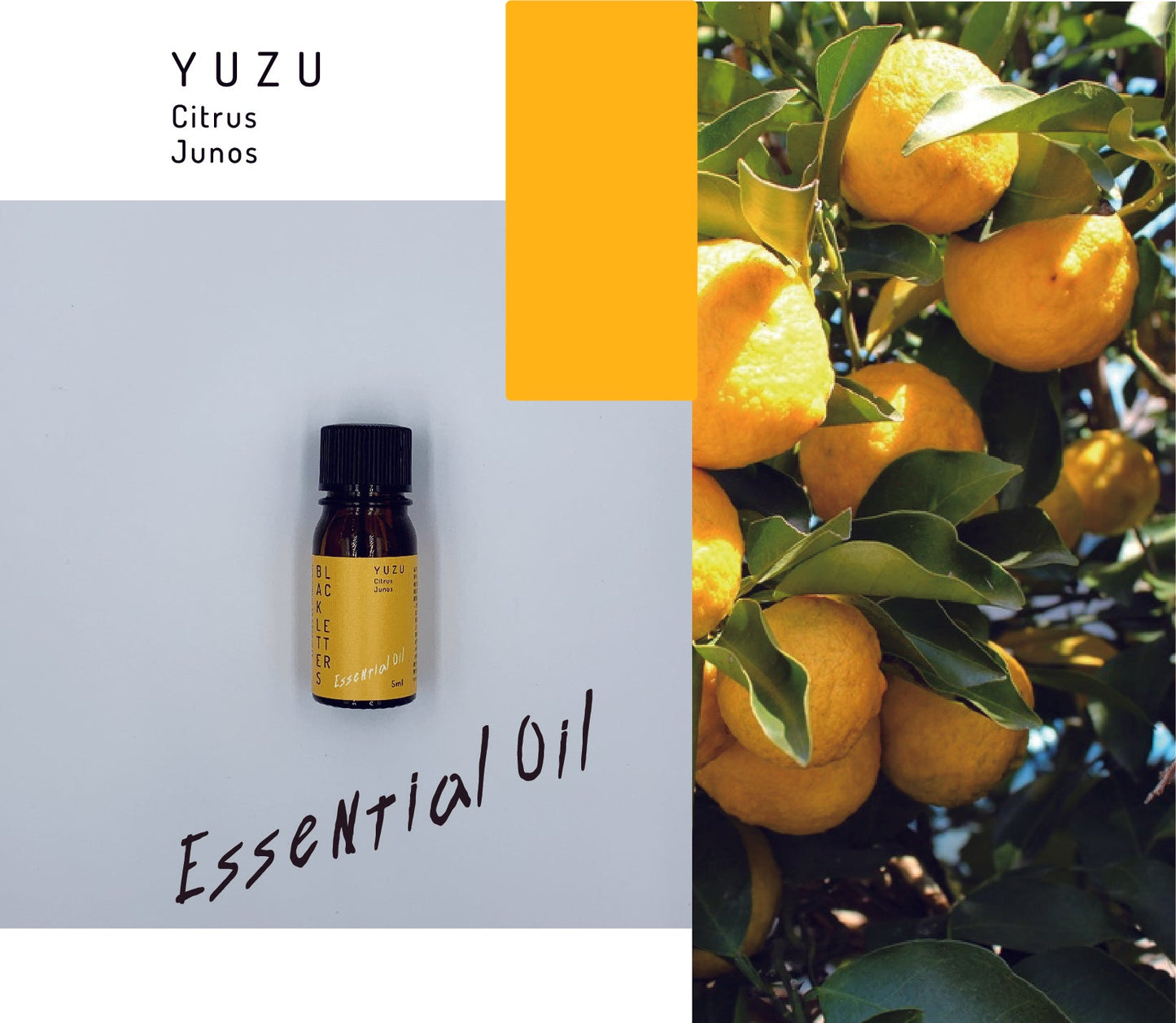 エッセンシャルオイル　 ユズ　５ml